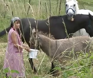 culo jodido en camping, por seductive.